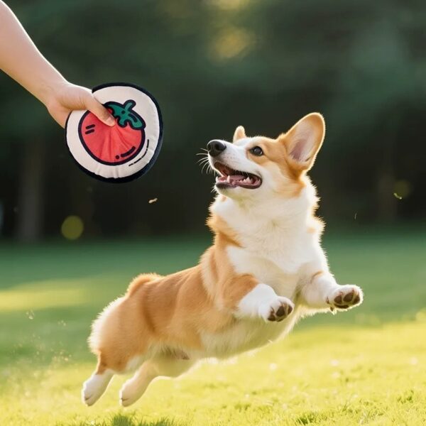 Veggie Pet Toys