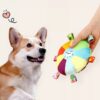 Plush Squeaky Frisbee