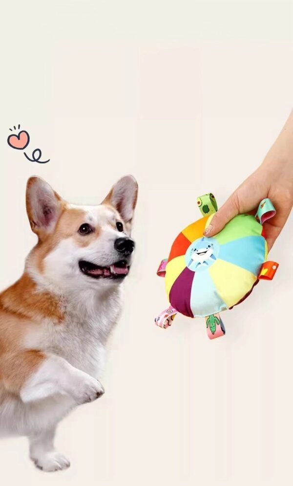 Plush Squeaky Frisbee