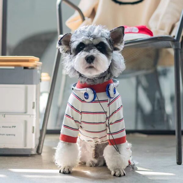 Striped Cool Pup Outfit