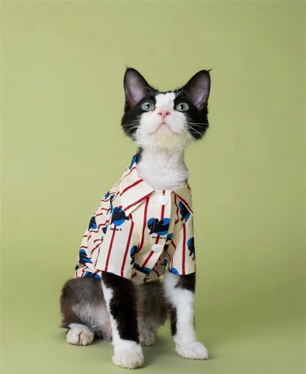 Shirt Style Cat Apparel