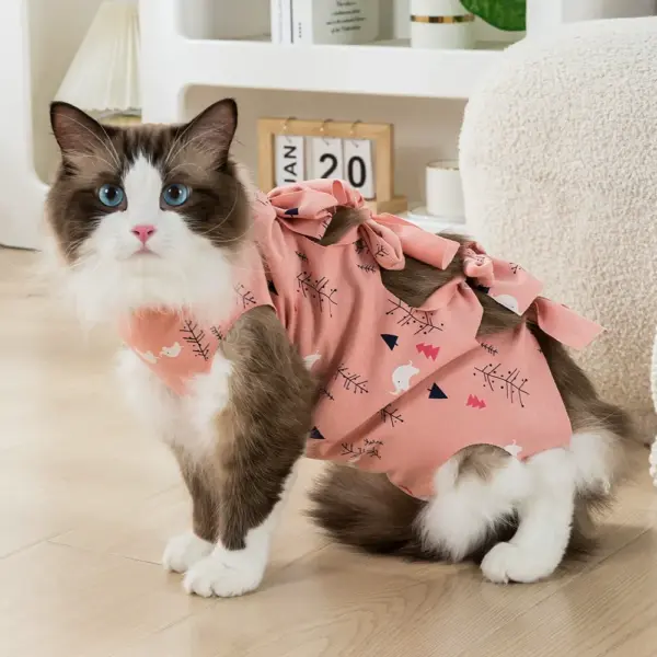 Cat Recovery Suit