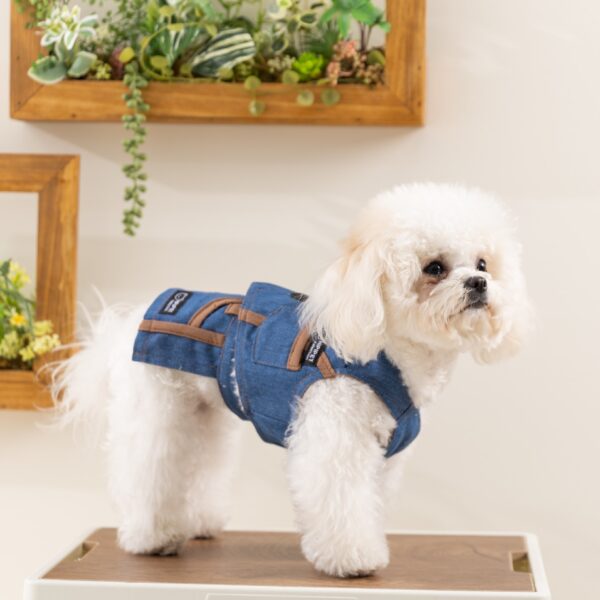 Puppy Vest Set