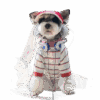 Striped Cool Pup Outfit