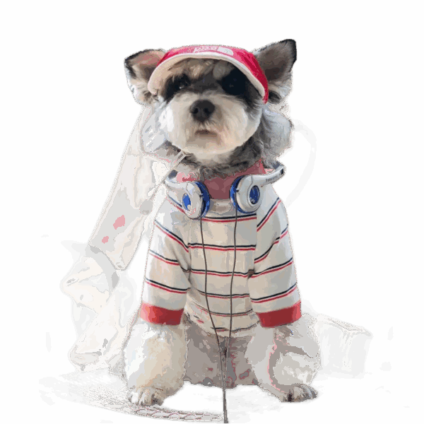 Striped Cool Pup Outfit